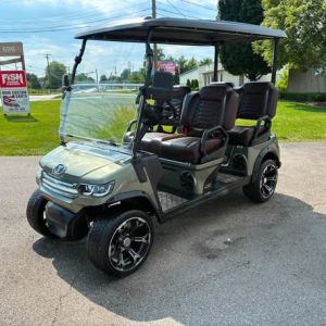2026 Tara Summit 4 Lithium Golf Cart – Sage Green, Brown Seats